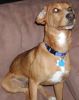Filename=sitting.jpg
Filesize=62KB
Dimensions=479x600
Date added=Jul 31, 2005 sitting.jpg